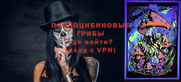 бошки Арсеньев